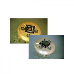瑞士Neroxis 微型皮拉尼真空计 热导式传感器